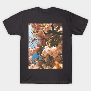 Spring Bloom, III T-Shirt